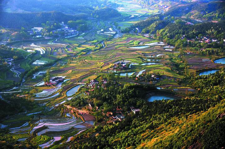 1493006891111280.jpg 1493006891111280.jpg