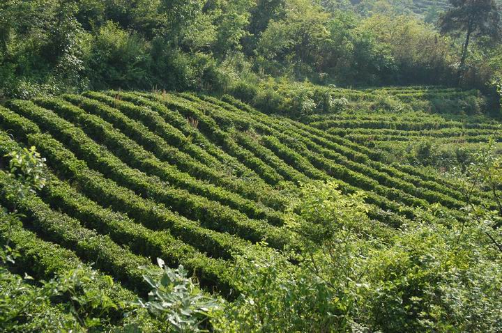 1493006923104610.jpg 1493006923104610.jpg