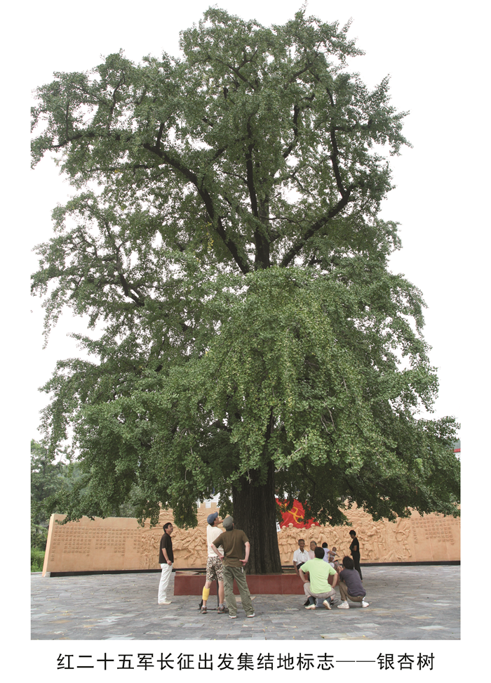 1512356960221699.png 图片2.png